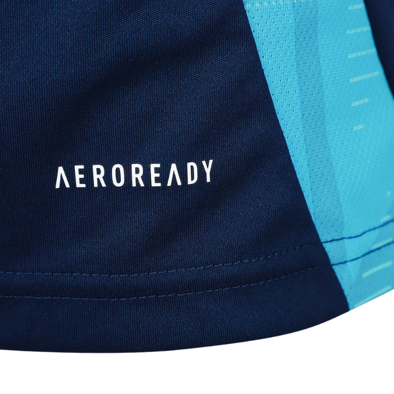 Regata Adidas Flamengo 2025/26 Treino