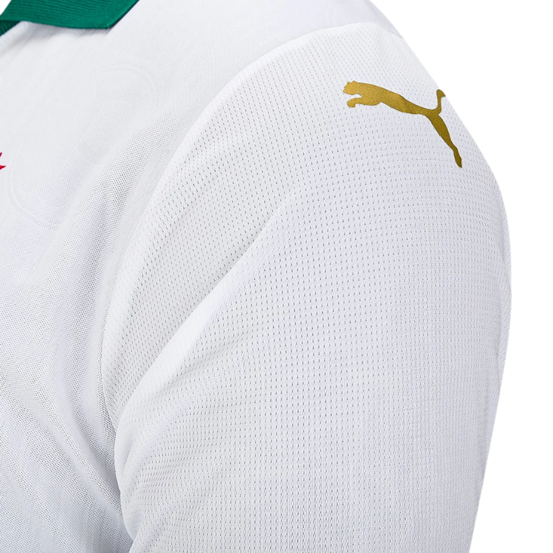 Camisa Puma Palmeiras 2024/25 II Torcedor